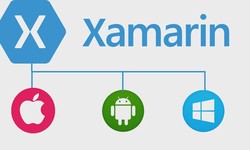 How Xamarin Developers Will Change the Future and How You Can Benefit