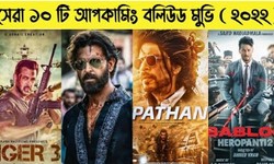 Top Five Bollywood Movie Trailers 2022 op categories have been issued