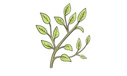  Drawing Leaves on a Tree - Step by Step Guide