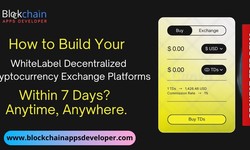 Cryptocurrency Exchange Software Development Company | How to build your WhiteLabel Decentralized Cryptocurrency Exchange platforms within 7 Days?