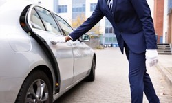 Top Taxi Services in Zwolle: Which is Best to Choose?