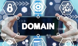 The procedure of easy registration of pk domain name