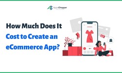 How Much Does It Cost to Create an eCommerce App?