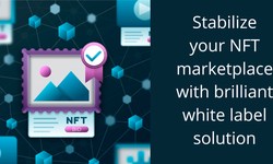 White Label NFT Marketplace - Build A Customized NFT Platform