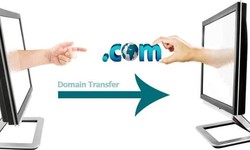 Domain transfer is a process for moving to another registrar