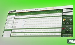How to bet and earn with Linebet?