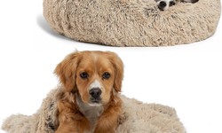 10 Most Impressive Personalized Pets Gifts