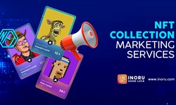 Make Your Token Collections Embrace Multiple Domains With Outstanding Marketing Services