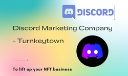 Soar Up Your NFTs With A Goal-Directed Discord Marketing Services