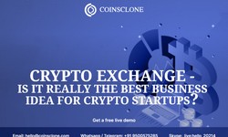 Crypto exchange - Is it really the best business idea for crypto startups?