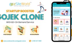 Gojek Clone Script: Business That’s Easy to Install