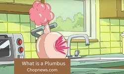 What is a Plumbus? The Story About Rick and Morty