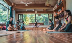 The Top 5 Tips for Those Considering Joining a Yoga School in India