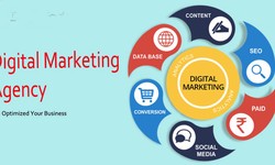 How to Find the Best Digital Marketing Agency in Lahore