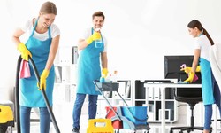 Domestic Helper Vs Professional Cleaning Services