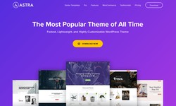 Best WordPress Themes