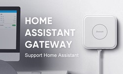 Home Assistant With Dusun Review