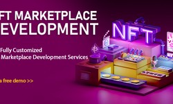 NFT Marketplace Development Services | NFT Development Services | NFTWIIZ