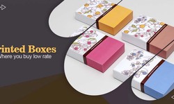 Where You Buy Low-Rate Printed Box Packaging from Absolute Mentor