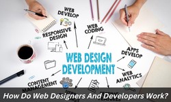 How Do Web Developers And Designers Work?