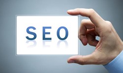 Result Oriented and Fastest Growing Seo Company in India