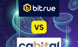 Birtue VS Cabital – Prons, Cons and Key Features