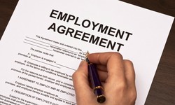 Employment Lawyer Service in Canada