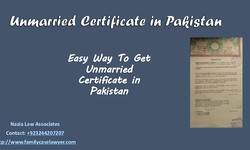 Path To Get Single Status Certificate Pakistan