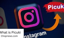 Let's See What is Picuki? An Anonymous Story Viewer App [Full On Guide]