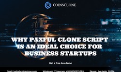 Why paxful clone script is the ideal choice for business startups?