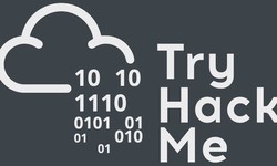 How Did Hacking Become the Next Trend for TryHackMe?