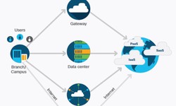 Cisco SDWAN Viptela Labs: The Future Of Cloud Connectivity