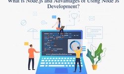 What is Node.js and Advantages of Using Node Js Development?