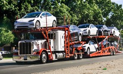 Car Shipping: 6 Steps for a Successful Auto Transportation