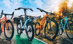 COMPLETE GUIDE TO DIFFERENT MOUNTAIN BIKE TYPES