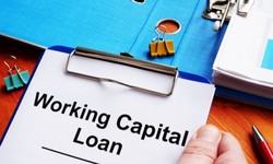 What are Working Capital Loans and How Can You Get Them? Here are the Answers