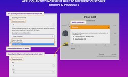 How to Add B2B & Wholesale Solutions to Your Shopify Store?