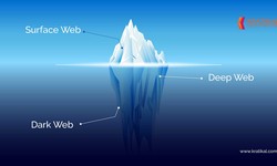 What is the Deep and Dark Web?