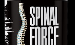 Spinal Force Reviews: Natural Back Pain Relief or A Scam?
