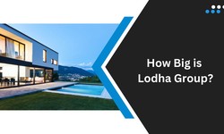 How Big is Lodha Group?