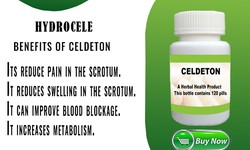 Herbal Remedies That Cure Hydrocele Effectively