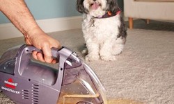 How to get puppy used to vacuum cleaner?
