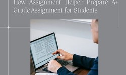 How Assignment Helper Prepare A+ Grade Assignment for Students