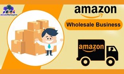 Amazon Wholesale Management Service Providing in the USA