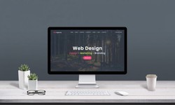 Affordable Logo Design and Website Design Add Value for a Startup