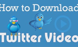 How To Download Twitter Videos Directly?
