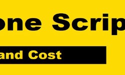 Rarible Clone Script (Introduction + cost)
