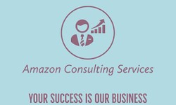 Amazon Consultant Service in the USA