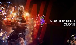NBA Top Shot Clone: The Wisest Way To Enter The NFT Arena
