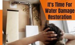 The Sign That Tells You It's Time for Water Damage Restoration at Your House.